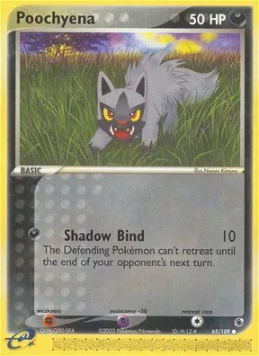 Poochyena #65