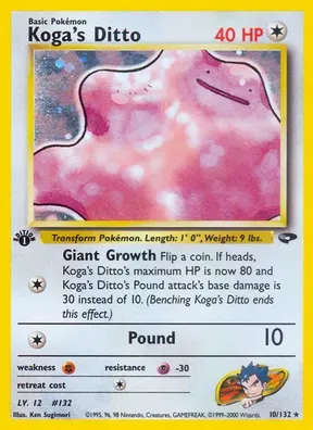 Koga's Ditto #10