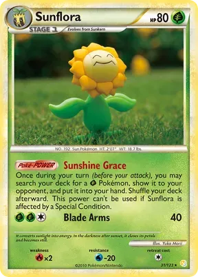 Sunflora #31