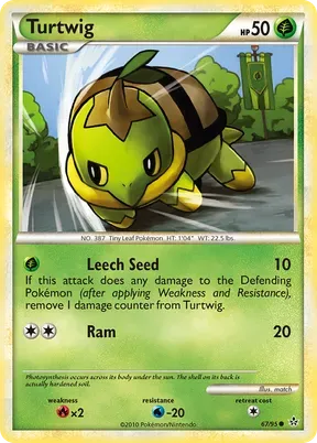Turtwig #67