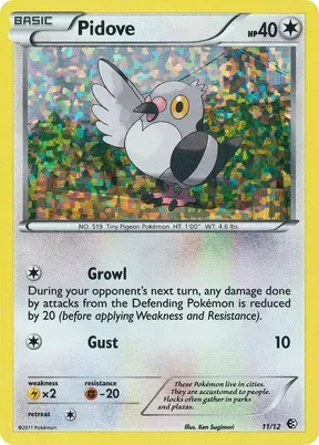 Pidove #11