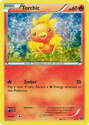 Torchic #2