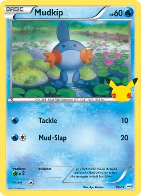 Mudkip #19