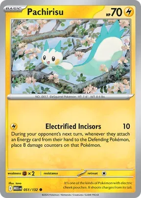 Pachirisu #51