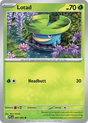 Lotad #5
