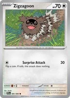 Zigzagoon #81