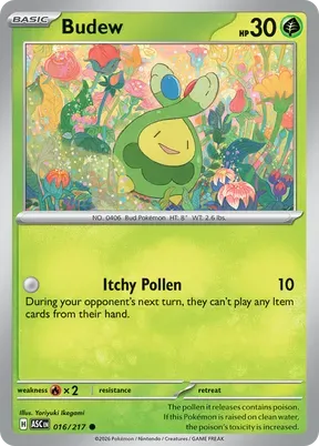 Budew #16