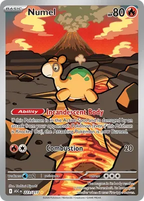 Numel #223