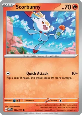Scorbunny #36