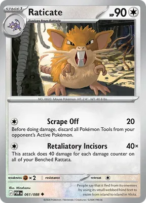 Raticate #61
