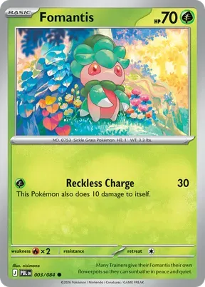 Fomantis #3