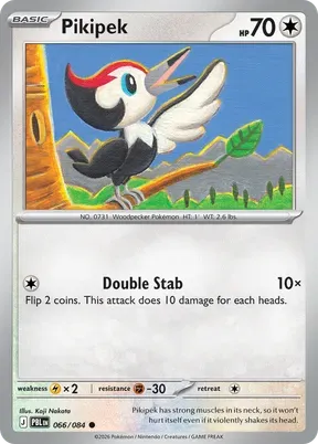 Pikipek #66