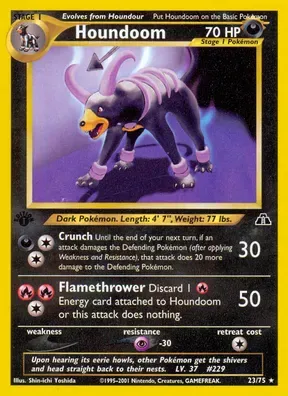 Houndoom #23