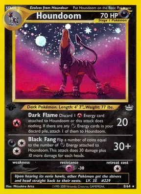 Houndoom #8