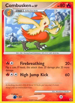 Combusken #45