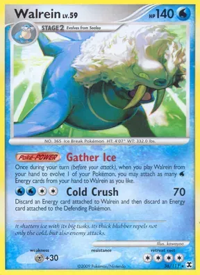 Walrein #36