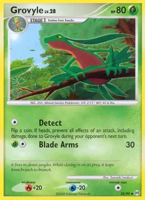 Grovyle #38