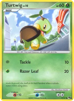 Turtwig #17
