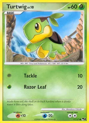 Turtwig #17