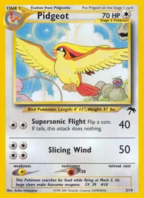 Pidgeot #2