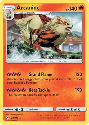 Arcanine #22