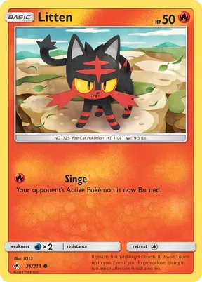 Litten #26