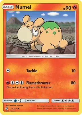 Numel #23