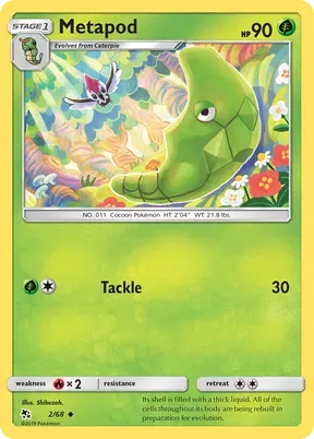 Metapod #2