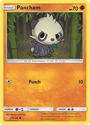 Pancham #119