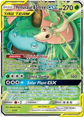 Venusaur & Snivy-GX #1