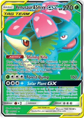 Venusaur & Snivy-GX #210
