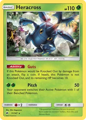 Heracross #11