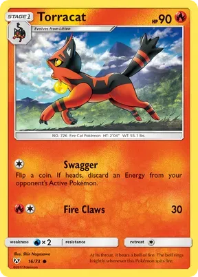 Torracat #16