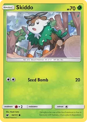 Skiddo #10