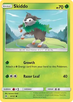 Skiddo #9