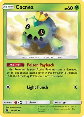 Cacnea #19