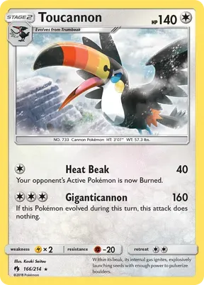Toucannon #166