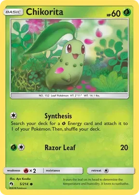 Chikorita #5