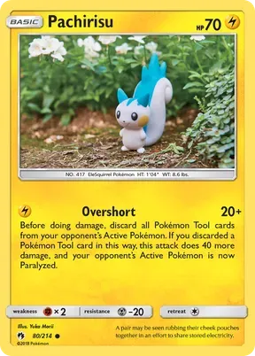 Pachirisu #80
