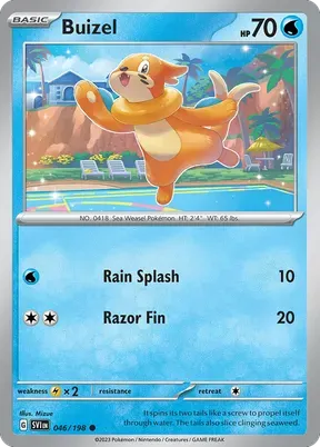 Buizel #46