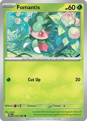 Fomantis #13