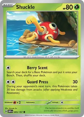 Shuckle #5