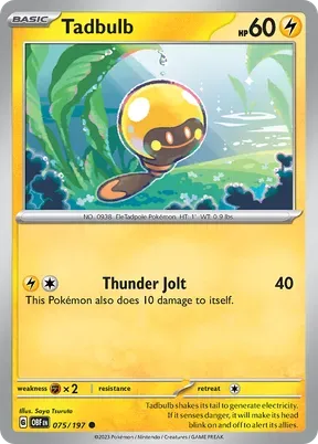 Tadbulb #75