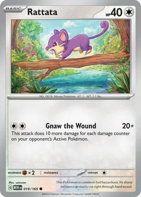Rattata #19