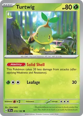 Turtwig #10