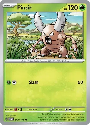 Pinsir #3
