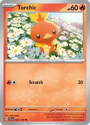 Torchic #22