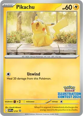 Pikachu #214
