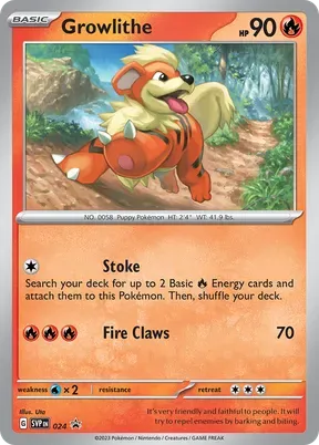 Growlithe #24