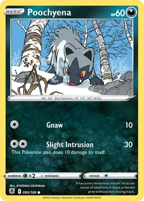 Poochyena #95